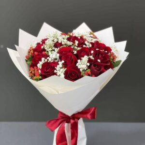 Red & White Roses 🌹🤍